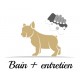 Bain + entretien de votre chien