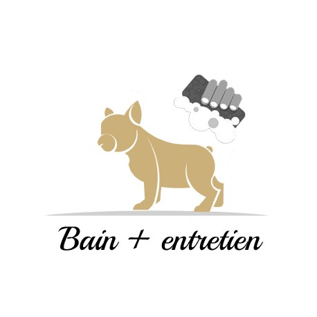 Bain + entretien de votre chien